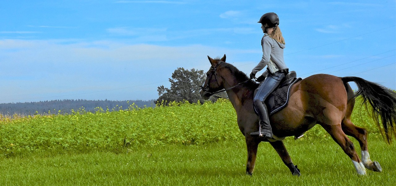 How Does Riding Horses Affect Your Health?